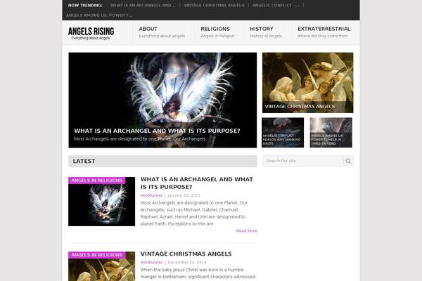 Point theme site design template sample