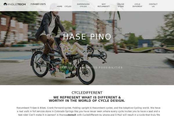 angletechcycles.com site used Angletech