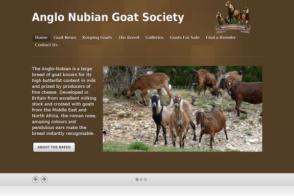 Site using Another WordPress Classifieds Plugin plugin
