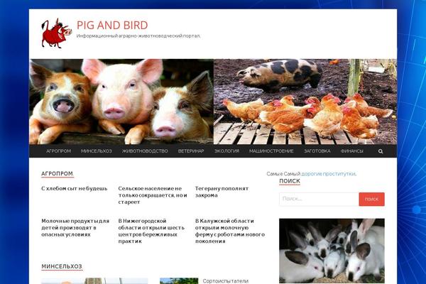 HitMag theme site design template sample
