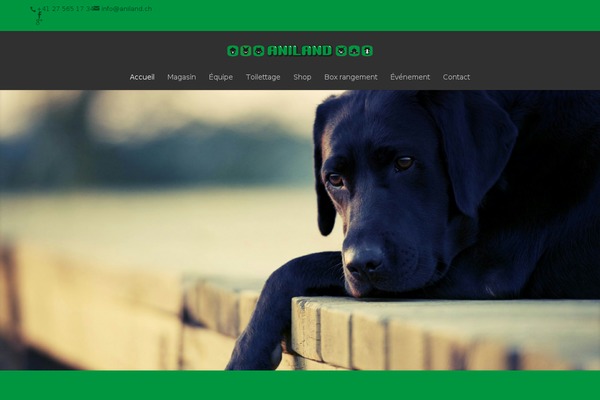 Site using Mailster plugin