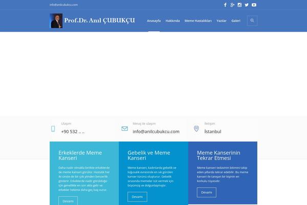 Site using Cmsmasters-mega-menu plugin
