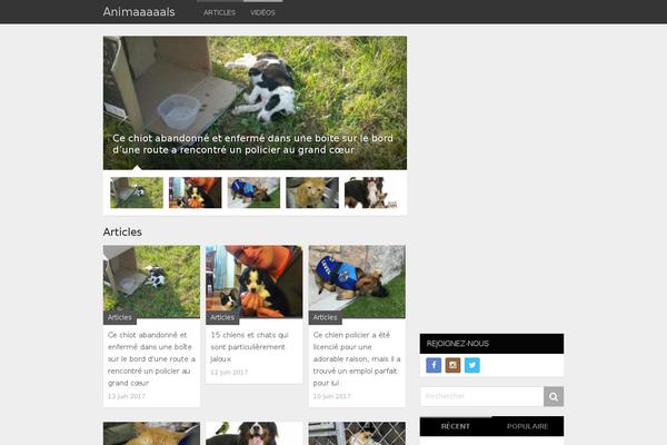 MagXP theme site design template sample