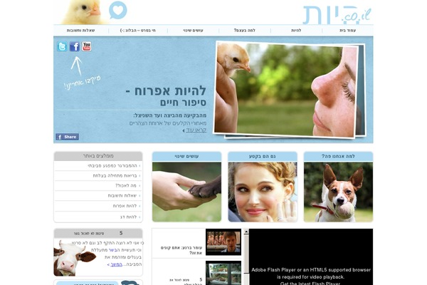 animal.org.il site used Animals