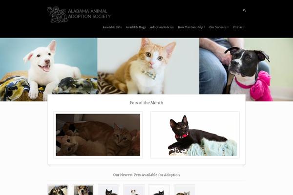 Rescue theme site design template sample