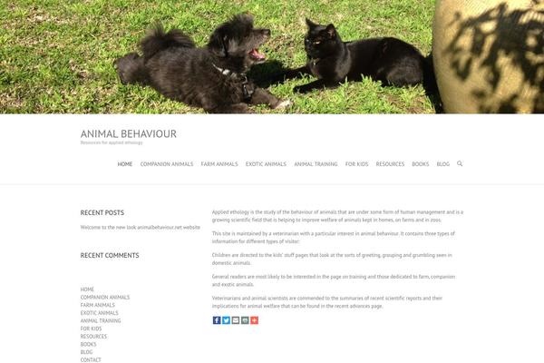 Interface theme site design template sample