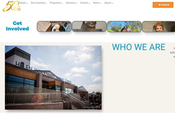 Site using Templately plugin