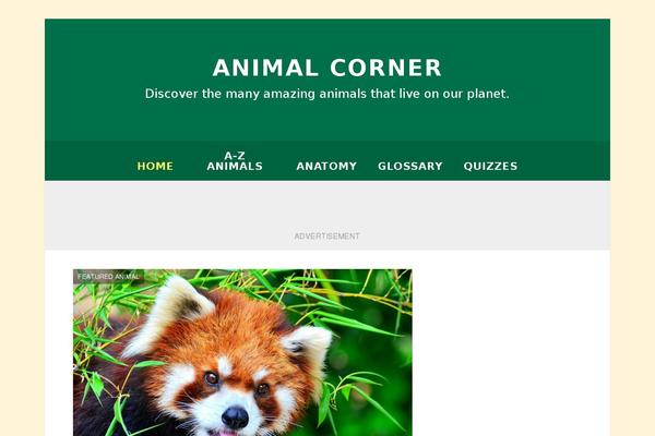 Dolphin theme site design template sample