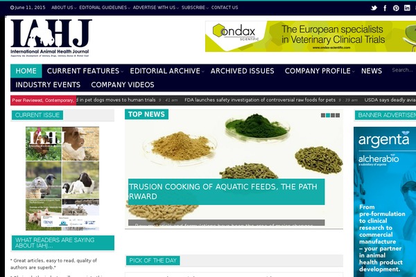 StarMag theme site design template sample