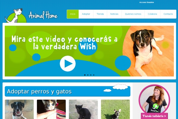 Orbital theme site design template sample