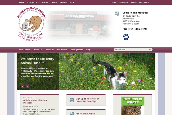 Lifelearn theme site design template sample