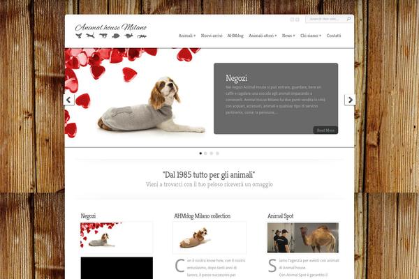 Chameleon theme site design template sample