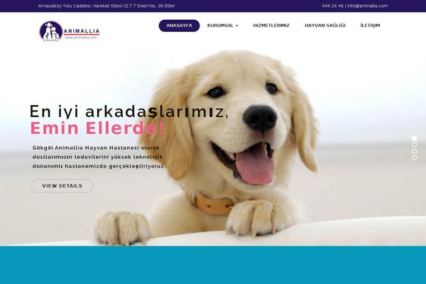 Medix theme site design template sample