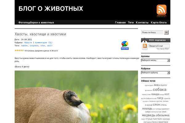 animalpicture.ru site used Classy Lite