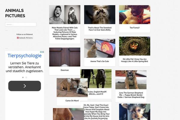 Pronto theme site design template sample