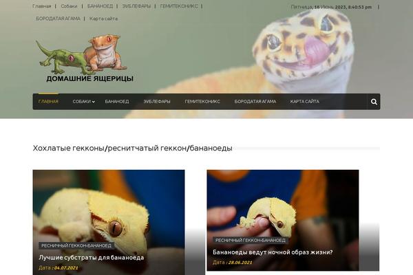 Editorialmag theme site design template sample