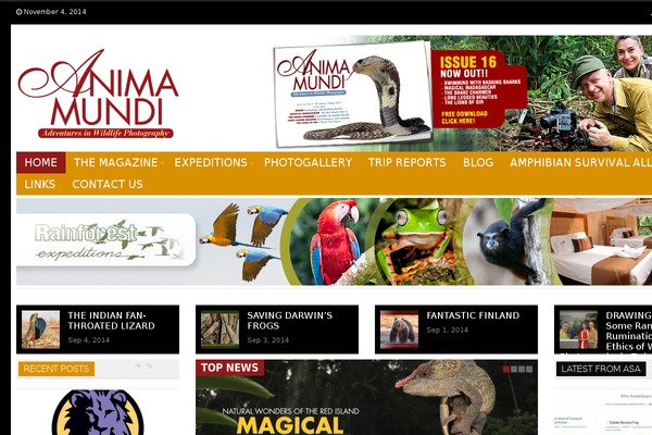 animamundimag.com site used StarMag