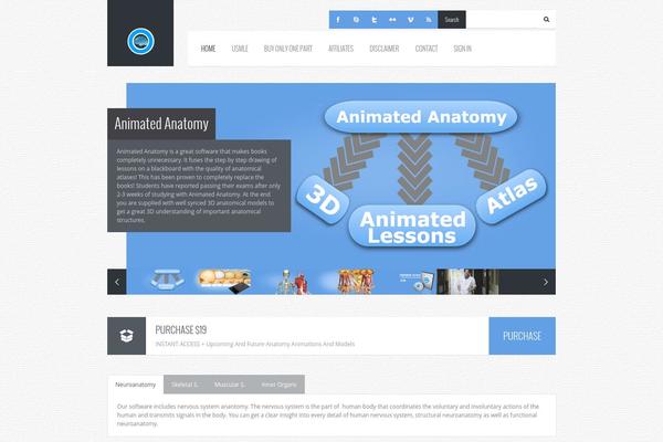 Felius theme site design template sample