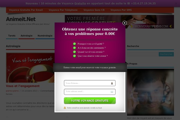 MesoColumn theme site design template sample