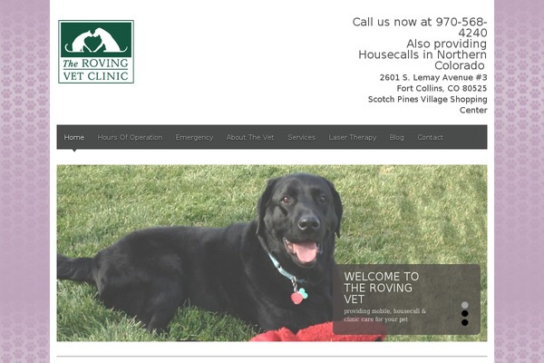 Blackbird theme site design template sample