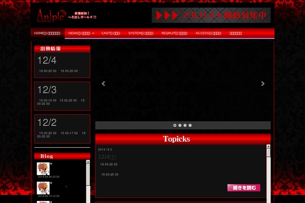aniple-akiba.net site used Netzine