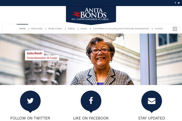 Politicize theme site design template sample