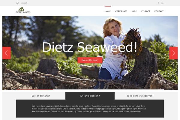Stoken theme site design template sample