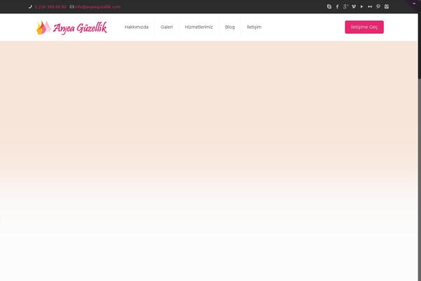 Modis theme site design template sample