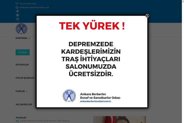 Site using The-post-grid plugin