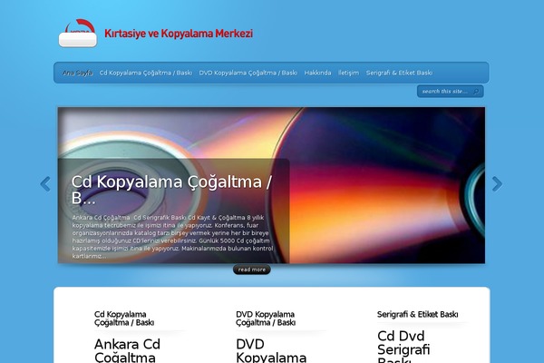 TheProfessional theme site design template sample