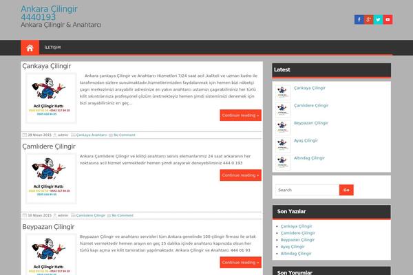 Appointment theme site design template sample