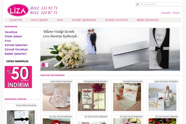 Alterna theme site design template sample