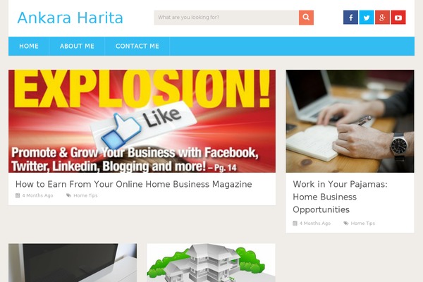 SociallyViral theme site design template sample