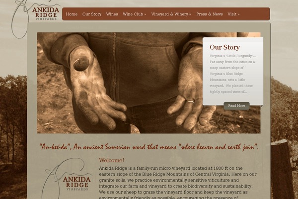 Deepfocus theme site design template sample