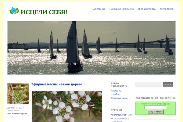 oriental theme site design template sample