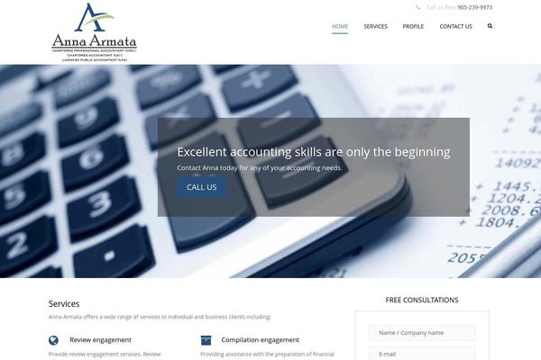 Accounting theme site design template sample