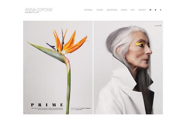 Tjhole theme site design template sample