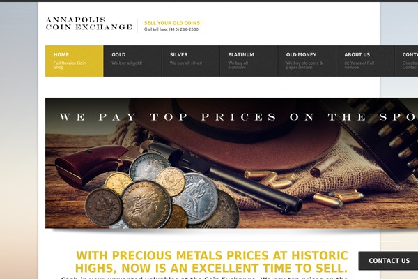 Point theme site design template sample