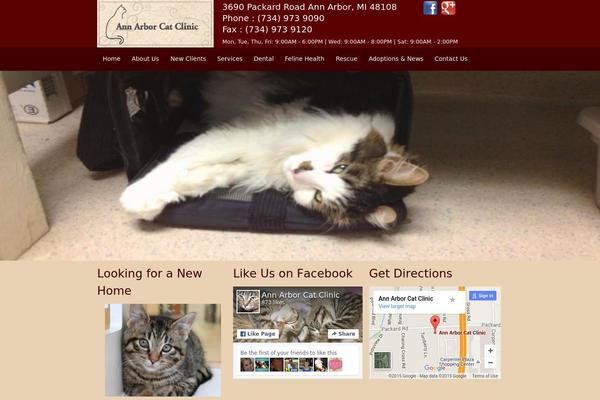 dvm theme websites examples