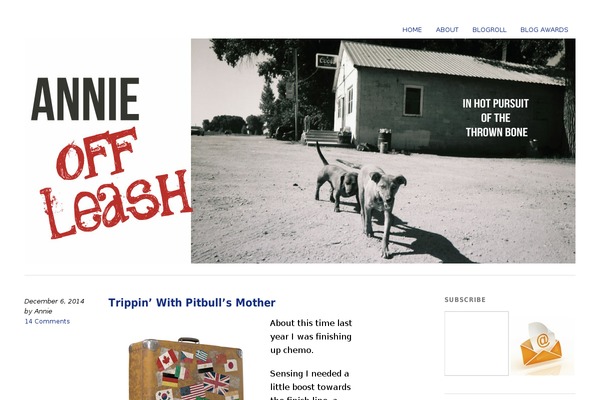 Yoko theme site design template sample