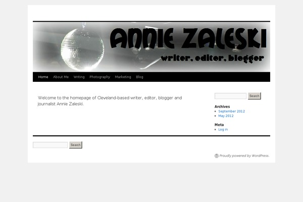 Twentyten-child theme site design template sample