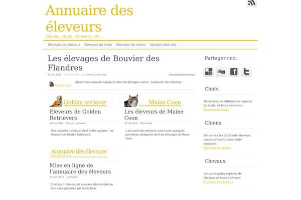 Clear Line theme site design template sample