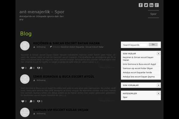 Irex Lite theme site design template sample