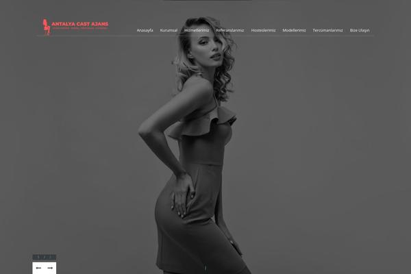 Modellic theme site design template sample