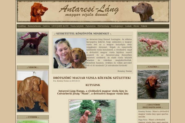 Wasteland theme site design template sample