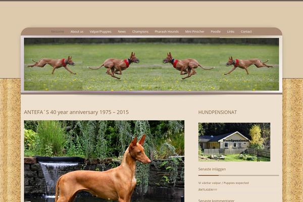 Preference Lite theme site design template sample