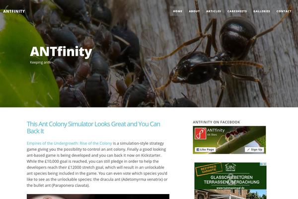 antfinity.com site used HipWords