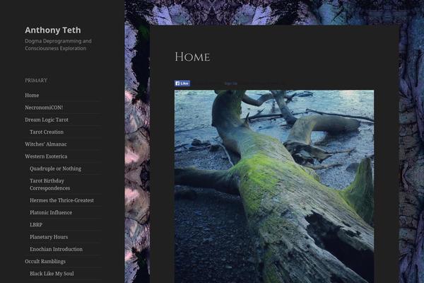 Twenty Fifteen theme site design template sample