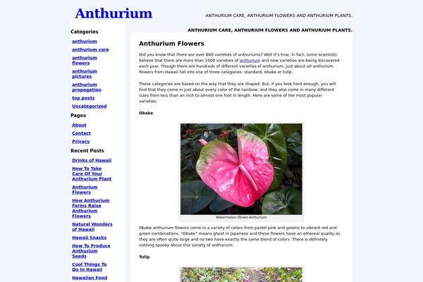 Ctr Theme theme site design template sample