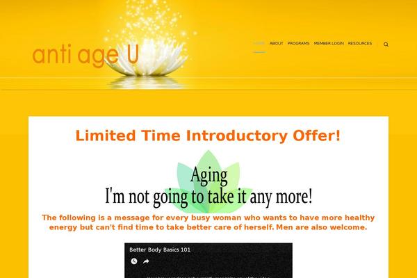 Site using Visitor Logic Lite plugin